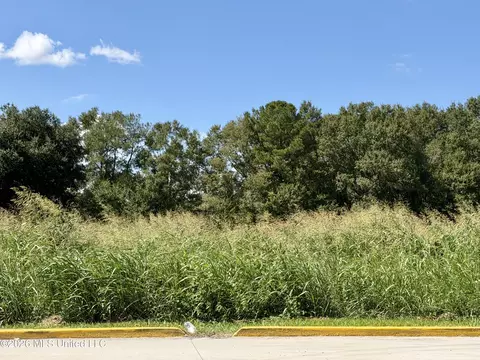 00 Union Rd, Picayune, MS 39466 photo 11