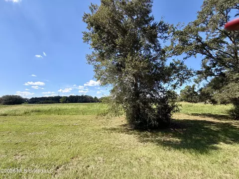 00 Union Rd, Picayune, MS 39466 photo 6