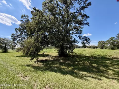 00 Union Rd, Picayune, MS 39466 photo 7