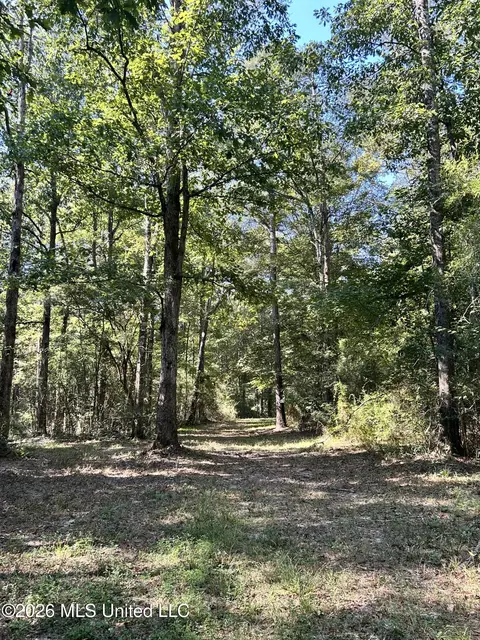 Dickey Mills Road, Magnolia, MS 39652