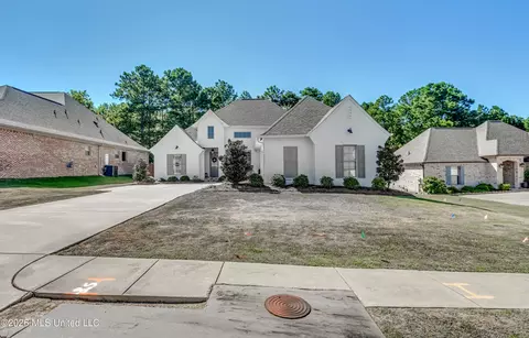 Exterior - 113 Long Leaf Way, Flowood, MS 39232 photo 11 of 12