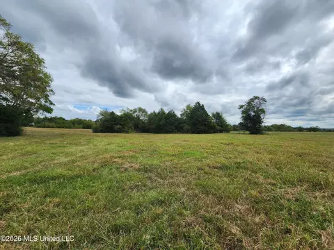 11 09 Bub Jamison Rd, Coldwater, MS 38618 photo 6
