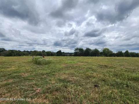 11 09 Bub Jamison Rd, Coldwater, MS 38618 photo 4