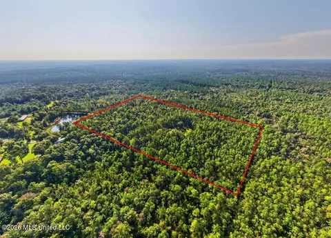17 Ac Burnis Havard Rd, Perkinston, MS 39573