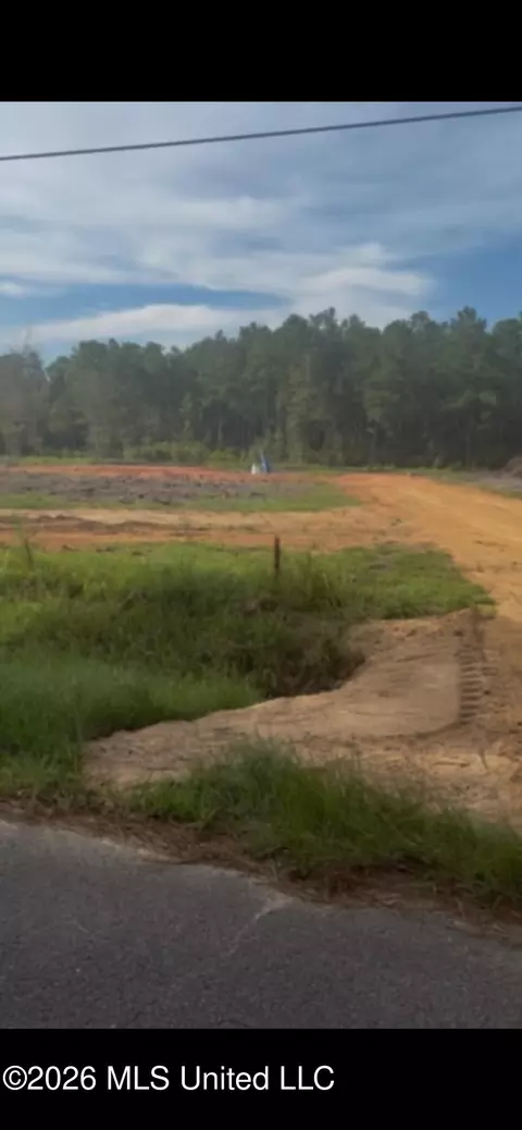 tbd Corbit Blvd #LOT 5, Mclain, MS 39456 photo 4