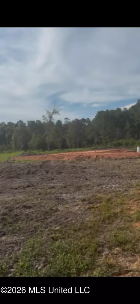 tbd Corbit Blvd #LOT 5, Mclain, MS 39456 photo 5