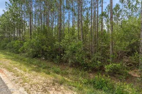 Herman Ladner Road, Saucier, MS 39574 photo 3