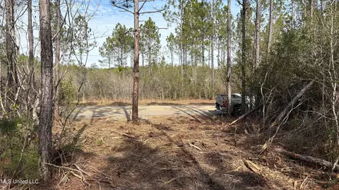 Herman Ladner Road, Saucier, MS 39574 photo 5