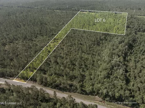 Herman Ladner Road, Saucier, MS 39574 photo 8