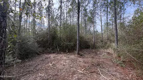 Herman Ladner Road, Saucier, MS 39574 photo 6
