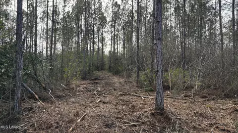 Herman Ladner Road, Saucier, MS 39574 photo 4