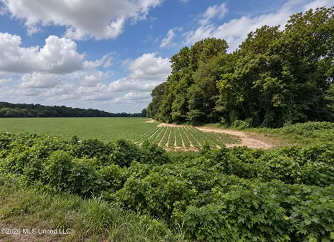 50 Ac Old Panola Rd, Sardis, MS 38666