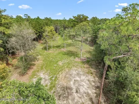 67 Salem Rd, Picayune, MS 39466 photo 4