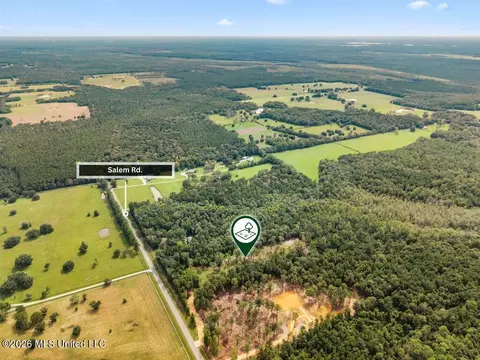 67 Salem Rd, Picayune, MS 39466 photo 13