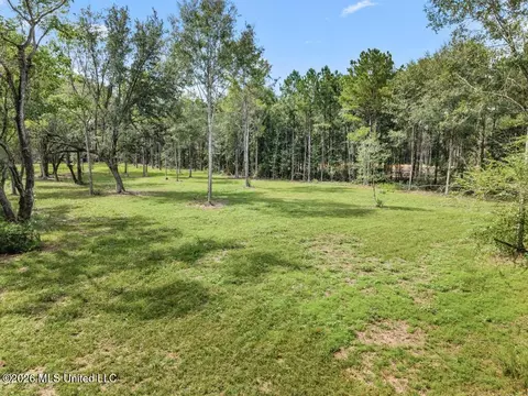 67 Salem Rd, Picayune, MS 39466 photo 5