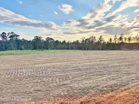 lot12 Little Cedar Rd, Lucedale, MS 39452 photo 6
