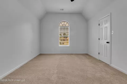 Other - 6972 Fox Briar Cv, Walls, MS 38680 photo 3 of 6