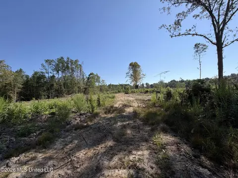 Cauthen Road, Camden, MS 39045 photo 19