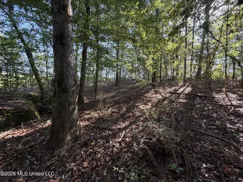 Cauthen Road, Camden, MS 39045 photo 2