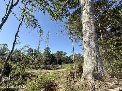 Cauthen Road, Camden, MS 39045 photo 5