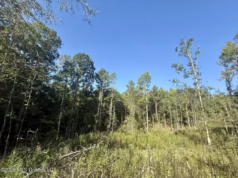 Cauthen Road, Camden, MS 39045 photo 4