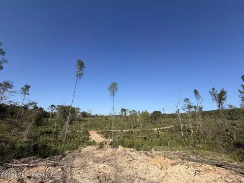 Cauthen Road, Camden, MS 39045 photo 13