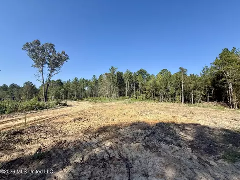 Cauthen Road, Camden, MS 39045 photo 18