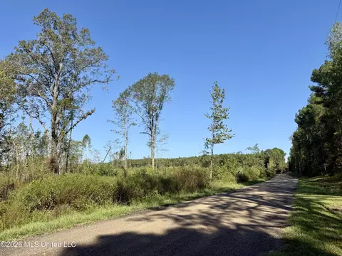 Cauthen Road, Camden, MS 39045 photo 14