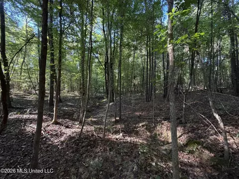 Cauthen Road, Camden, MS 39045 photo 3
