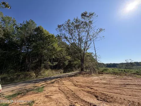 Cauthen Road, Camden, MS 39045 photo 8