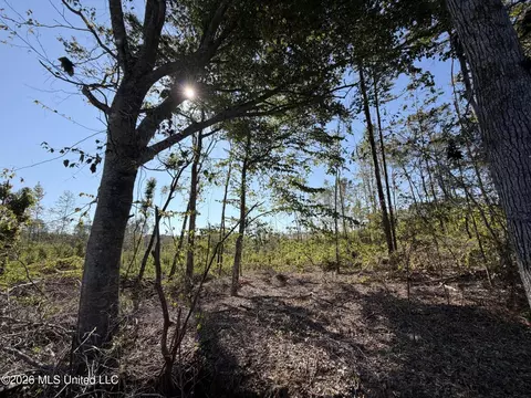 Cauthen Road, Camden, MS 39045 photo 11