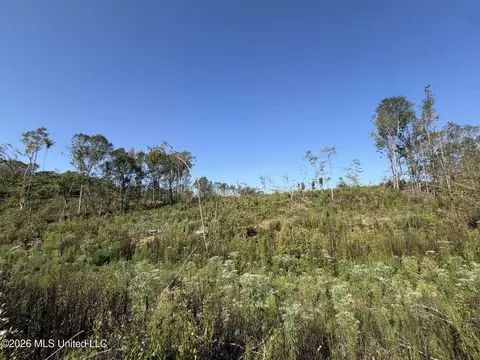 Cauthen Road, Camden, MS 39045 photo 10