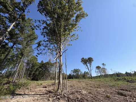 Cauthen Road, Camden, MS 39045 photo 20