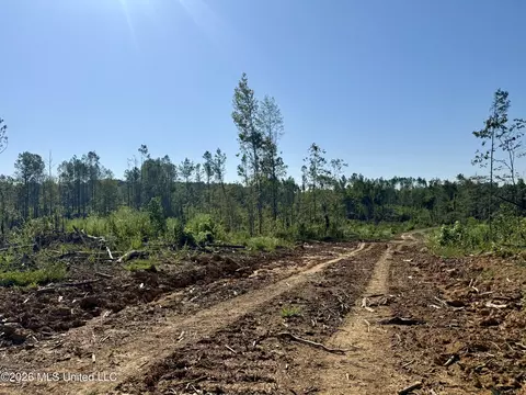 Cauthen Road, Camden, MS 39045 photo 9