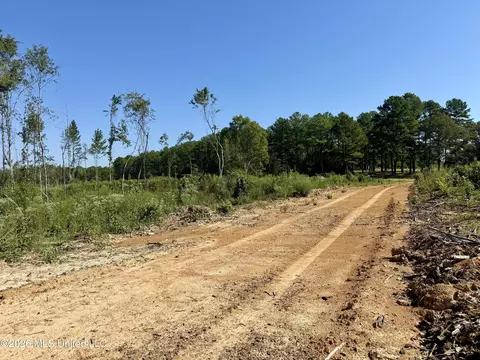 Cauthen Road, Camden, MS 39045 photo 15