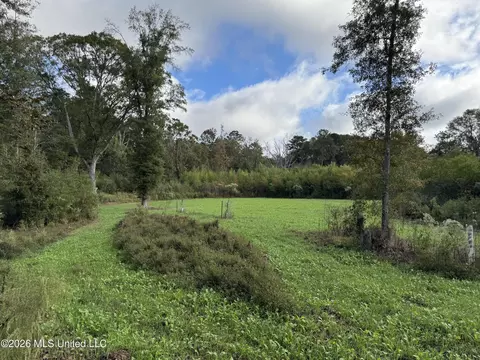 4433 Samuel Ln, Gloster, MS 39638 photo 24