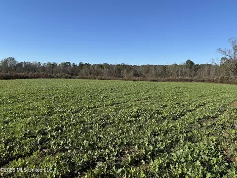 4433 Samuel Ln, Gloster, MS 39638 photo 27