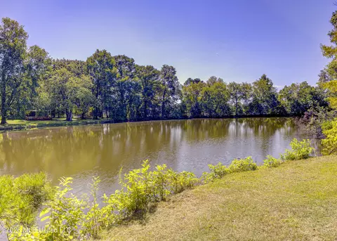 View/Area - 103 Wickstead Dr, Clinton, MS 39056 photo 3 of 6