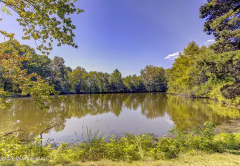 View/Area - 103 Wickstead Dr, Clinton, MS 39056 photo 2 of 6