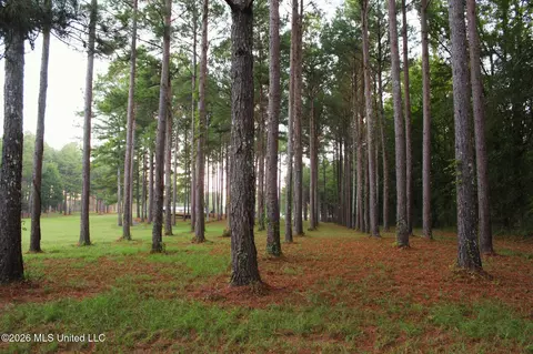 2788 Highway 16, Carthage, MS 39051 photo 26