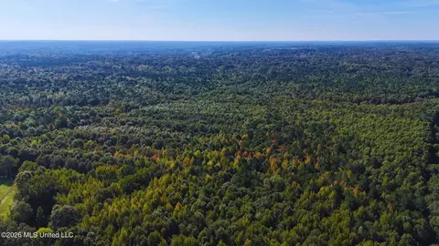 2788 Highway 16, Carthage, MS 39051 photo 50