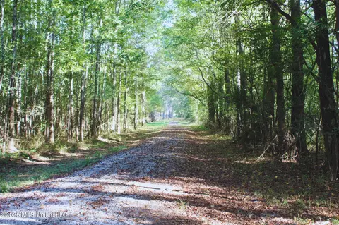 2788 Highway 16, Carthage, MS 39051 photo 20