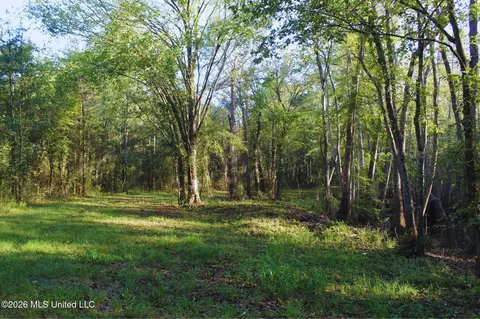 2788 Highway 16, Carthage, MS 39051 photo 28