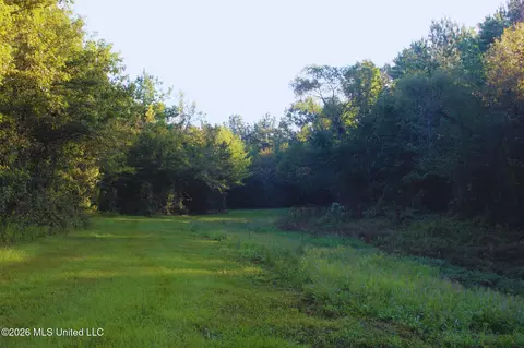 2788 Highway 16, Carthage, MS 39051 photo 7
