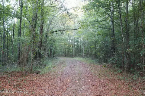 2788 Highway 16, Carthage, MS 39051 photo 29