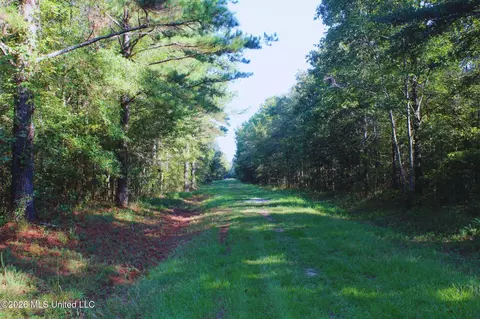 2788 Highway 16, Carthage, MS 39051 photo 25