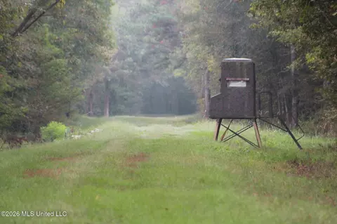 2788 Highway 16, Carthage, MS 39051 photo 5