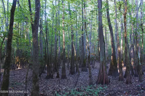 2788 Highway 16, Carthage, MS 39051 photo 32