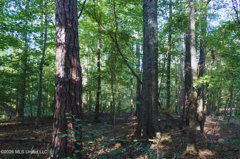 2788 Highway 16, Carthage, MS 39051 photo 34