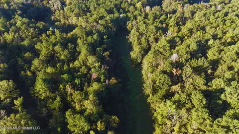 2788 Highway 16, Carthage, MS 39051 photo 52
